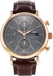 IWC Portofino IW391021