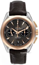 Omega Seamaster Aqua Terra 150m Co-Axial Chronograph GMT 43mm 231.23.43.52.06.001