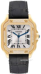 Cartier Santos De Cartier WJSA0008